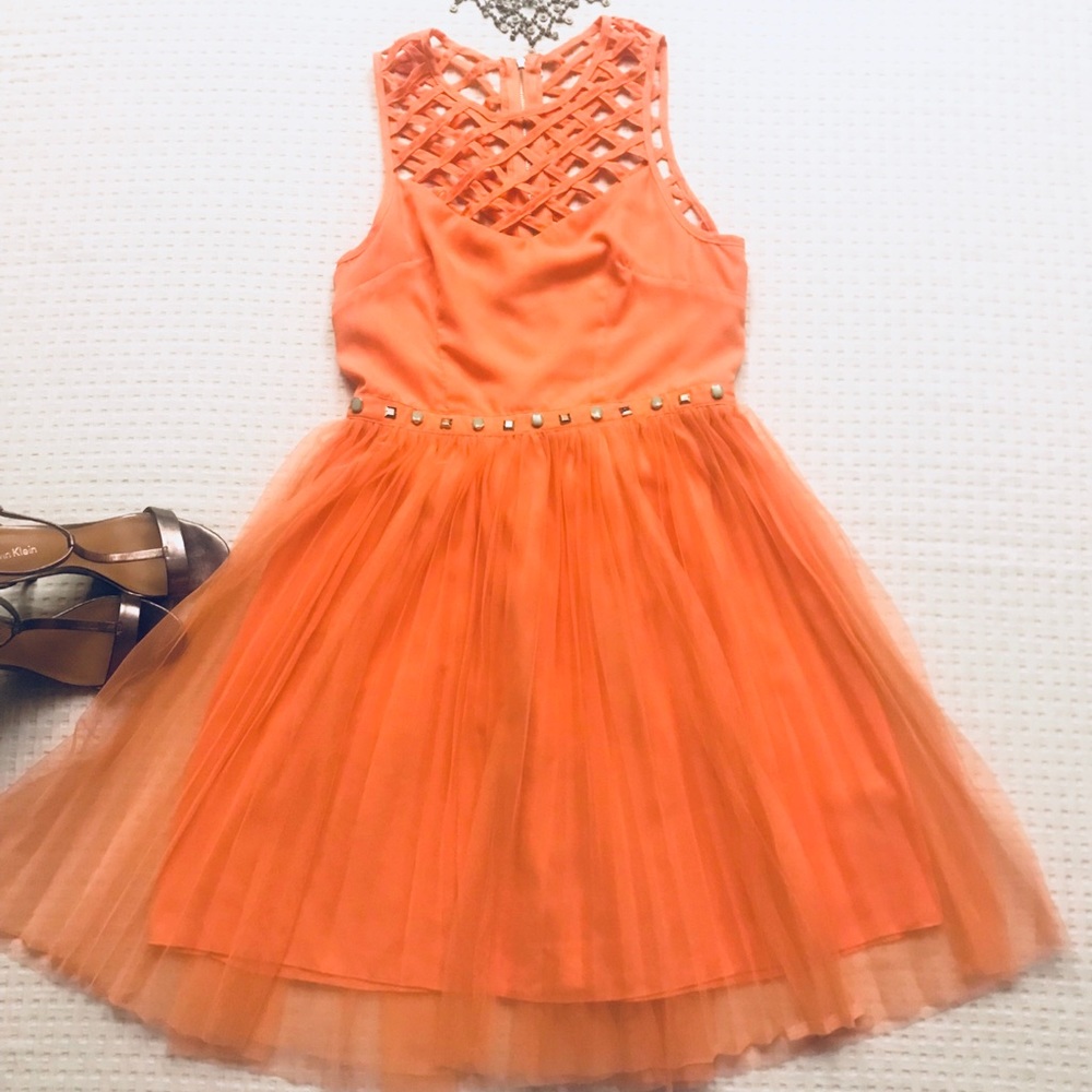Francesca’s English Rose Peach Ballerina👗